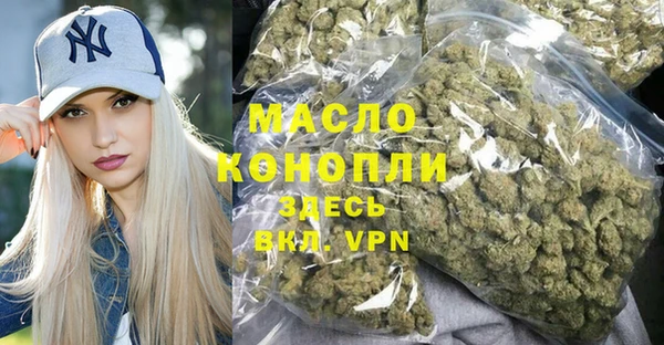 шишки Долгопрудный