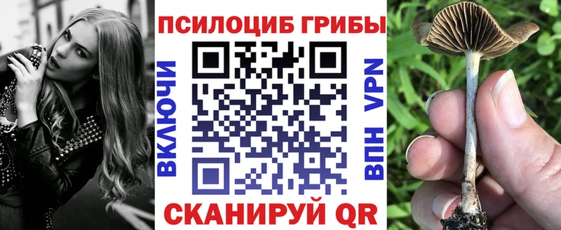 Псилоцибиновые грибы Psilocybine cubensis  Чаплыгин 
